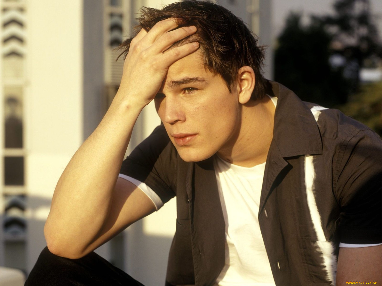 josh, hartnett, 